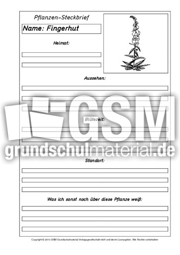 Pflanzensteckbriefvorlage-Fingerhut-SW.pdf